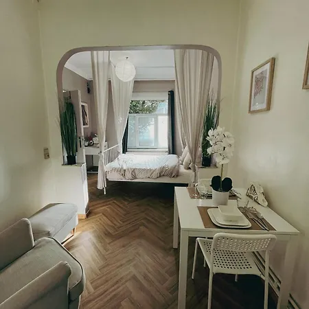 Ideal Studio For Exploring Brussels, Close To Brussels Midi Station And Main Attractions Exterior foto