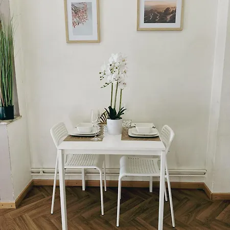 Ideal Studio For Exploring Brussels, Close To Brussels Midi Station And Main Attractions Exterior foto